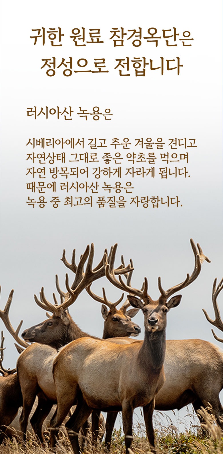 참나린_참녹용단상세페이지_(10환)_06.jpg