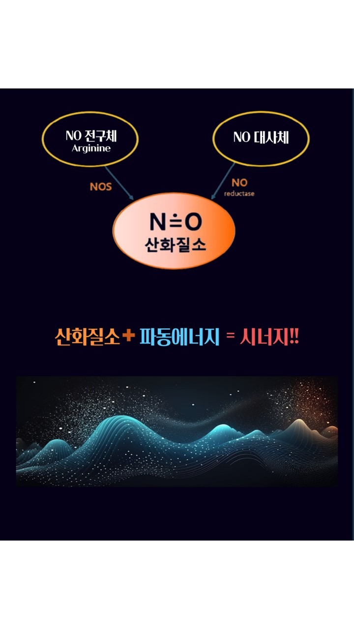 슬라이드2.JPG