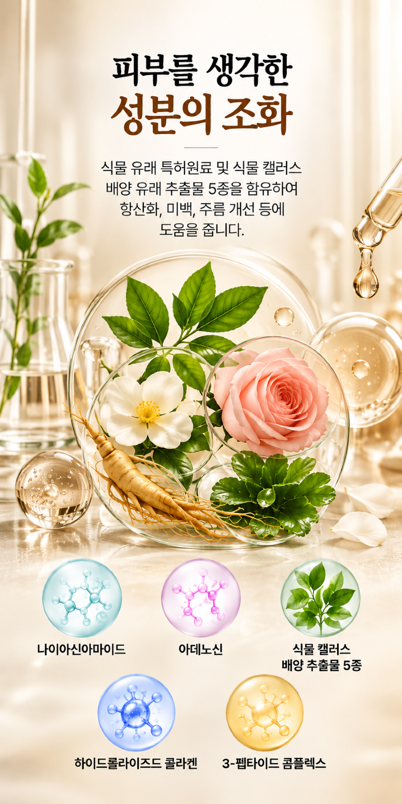 오비도스 셀라인 마스크팩_2.png